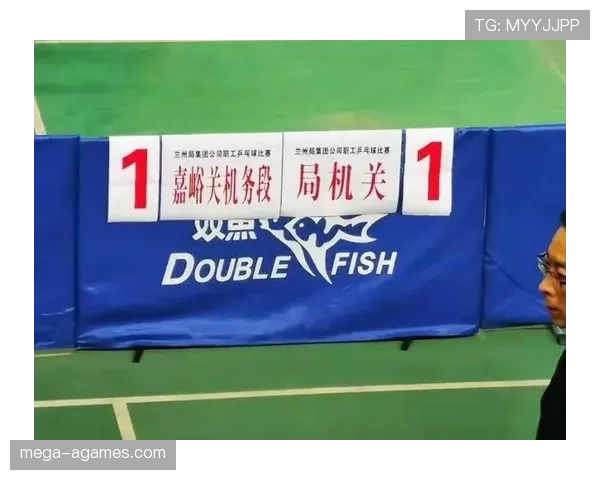 比赛用球的裁判检查与临场更换规则说明