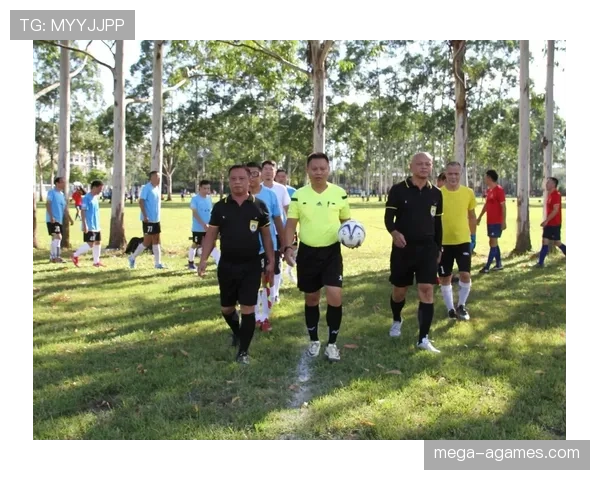 第四官员在足球规则中的职责与比赛管理判罚标准解析