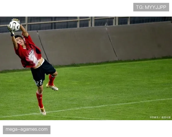 门将手球规则详解：哪些区域能用手？