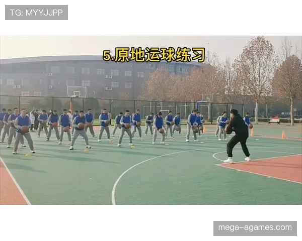 详解篮球运球规则，界定合法运球动作与二次运球违例的判定标准。
